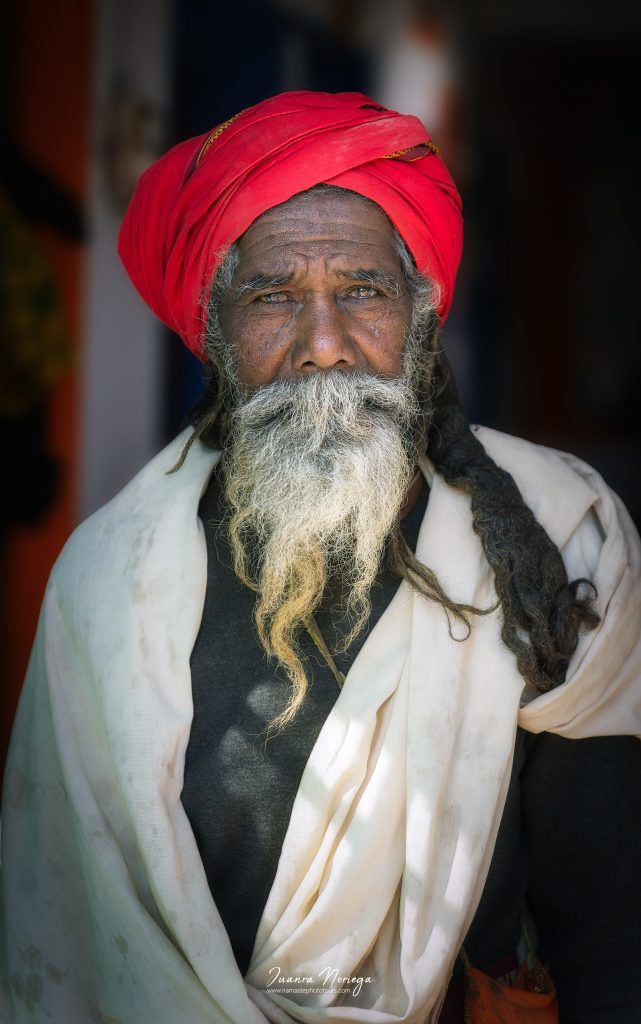 India Fauna 15