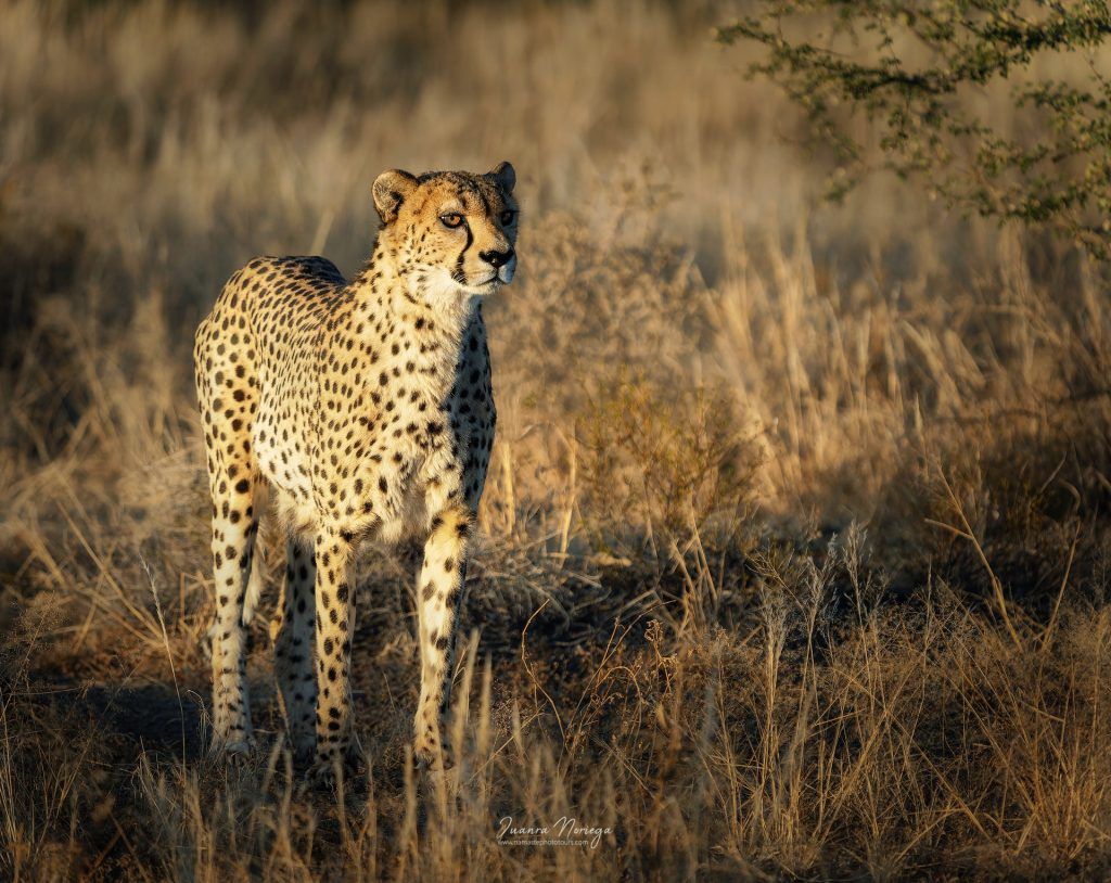 Namibia3 New