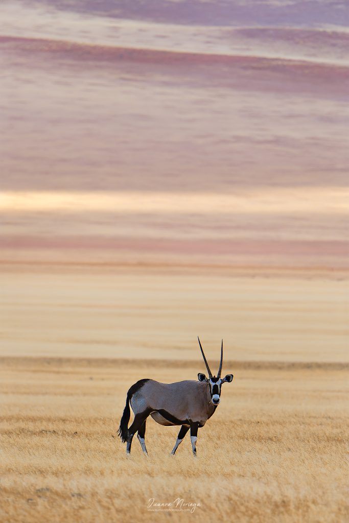 Namibia40 New