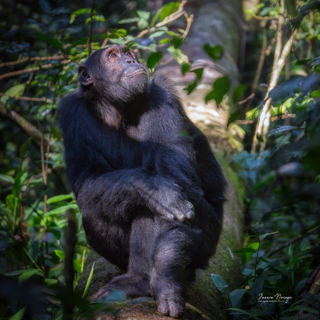 Uganda20 New