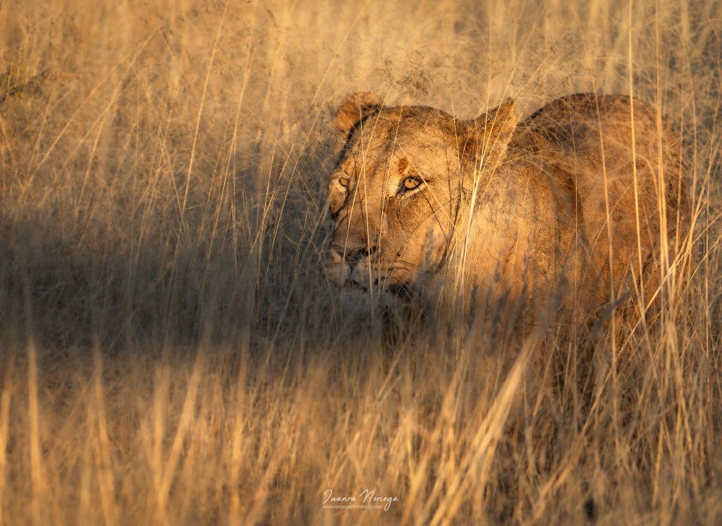 Namibia47