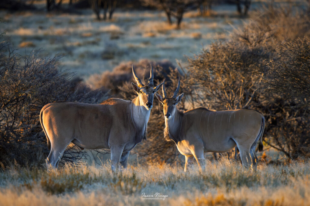 Namibia58